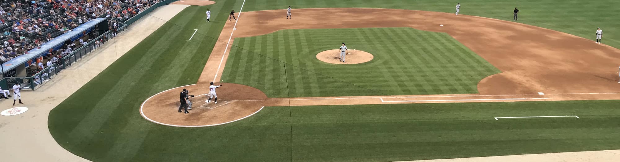 green baseball field Sarasota