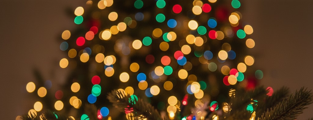 bokeh christmas lights Sarasota