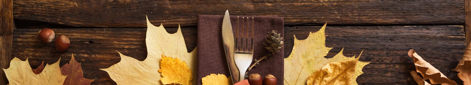 Thanksgiving Events Sarasota